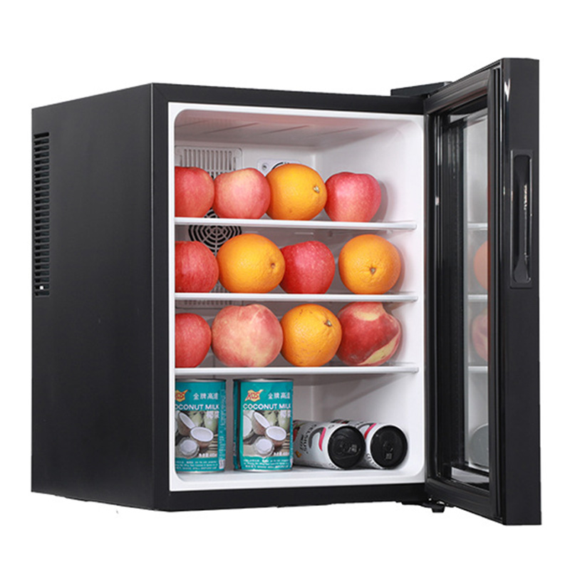 Mini Fridge Cooler 40L Refrige - Wine Beer Fridge Small のレビューと価格