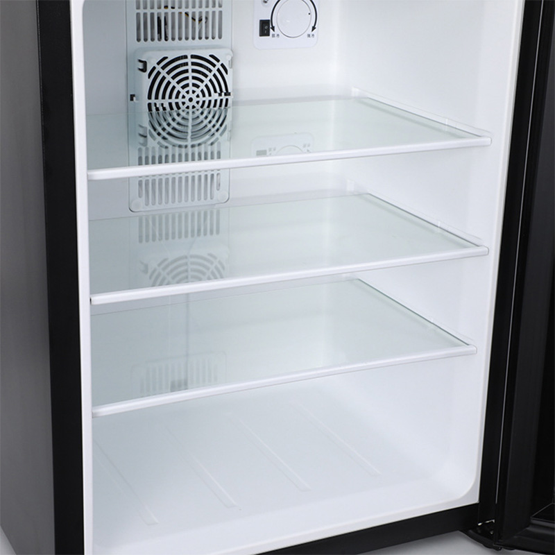 Mini Fridge Cooler 40L Refrige - Wine Beer Fridge Small のレビューと価格