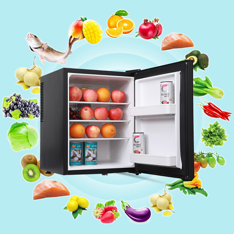 Mini Fridge Cooler 40L Refrige - Wine Beer Fridge Small のレビューと価格