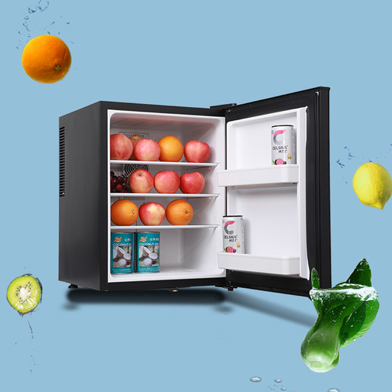 Mini Fridge Cooler 40L Refrige - Wine Beer Fridge Small のレビューと価格