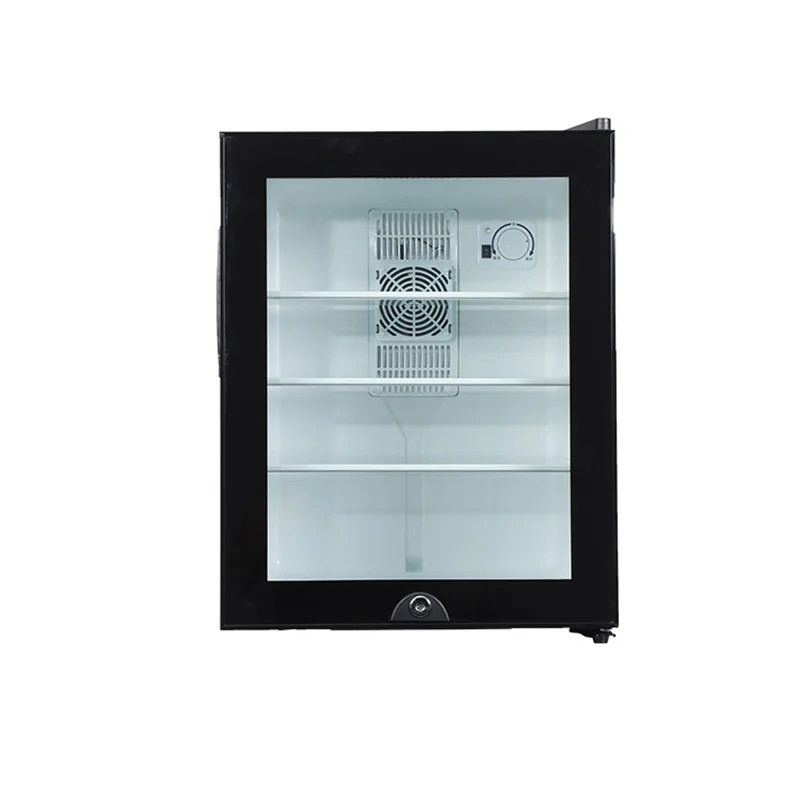 Mini Fridge Cooler 40L Refrige - Wine Beer Fridge Small のレビューと価格