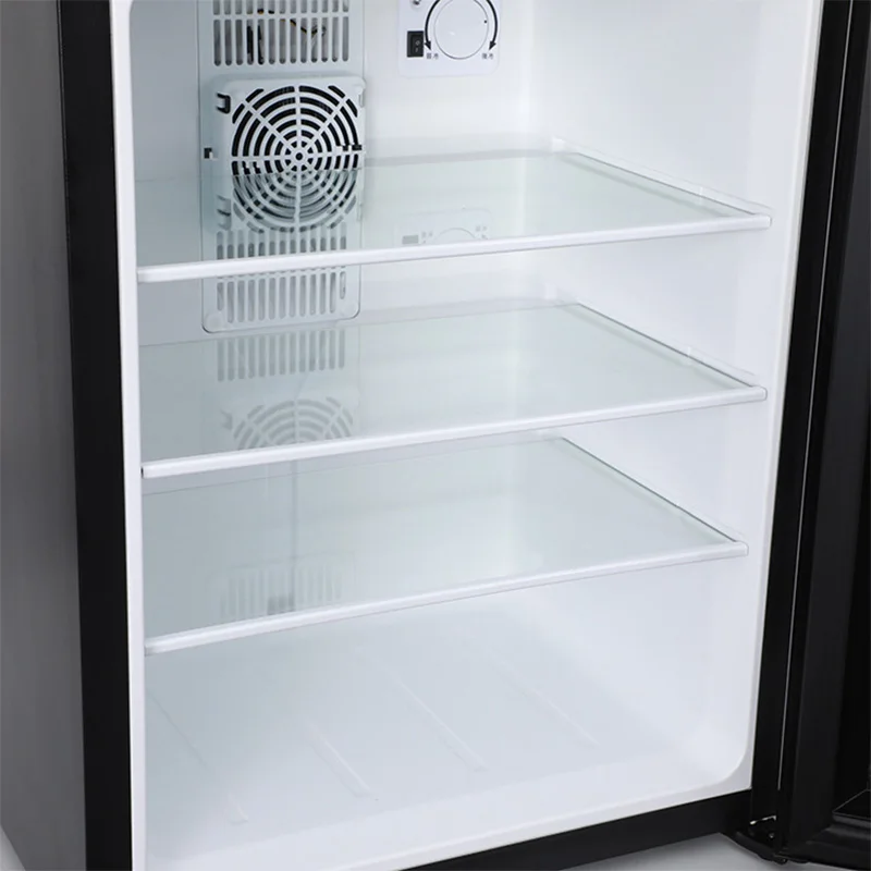 Mini Fridge Cooler 40L Refrige - Wine Beer Fridge Small のレビューと価格